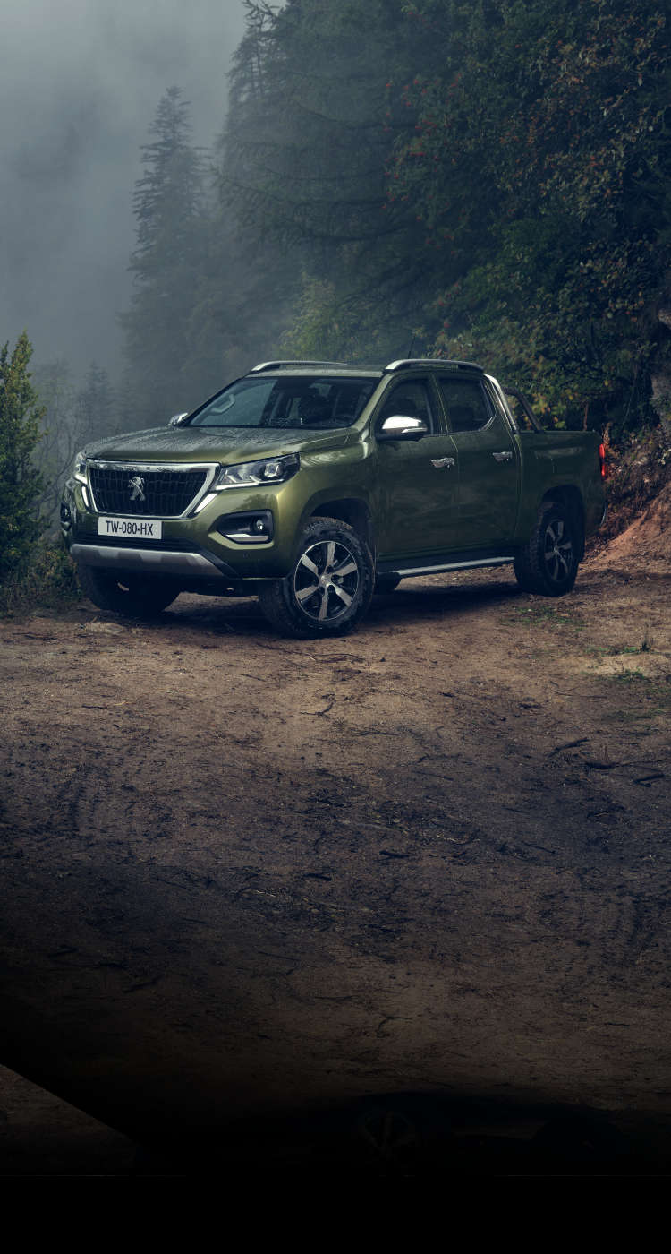 Peugeot Landtrek, зовнішній вигляд